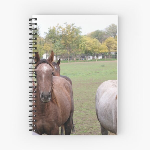 Item preview, herd of horses in corral on farm designed and sold by goceris.