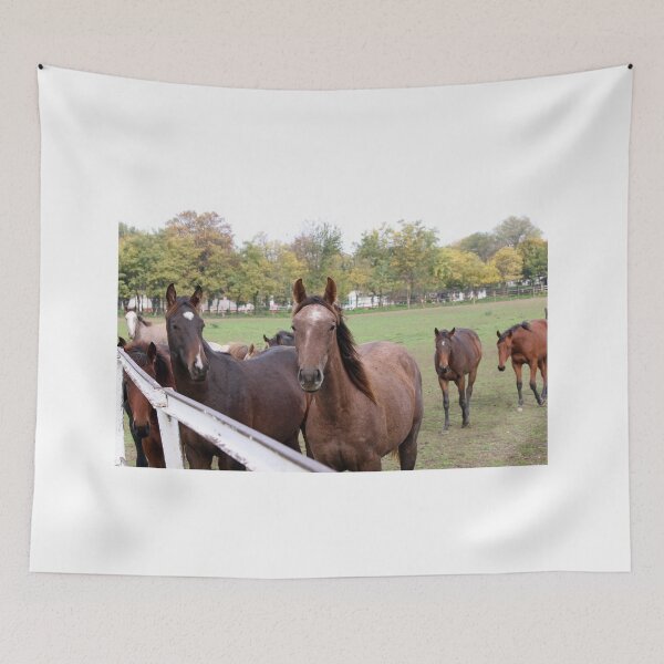 Item preview, herd of horses on farm designed and sold by goceris.