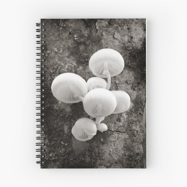Item preview, Fungus designed and sold by XENart.
