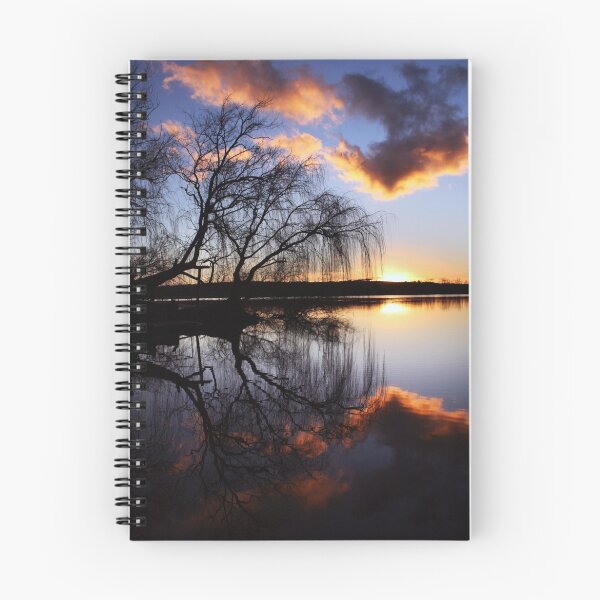 Item preview, Mannum willows designed and sold by Steve Chapple.
