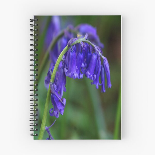 Item preview, Bluebell  (Spring) designed and sold by Trevor Kersley.