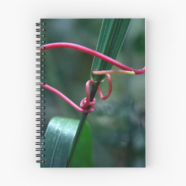 Item preview, Strangle Me designed and sold by Cassi Wilson.