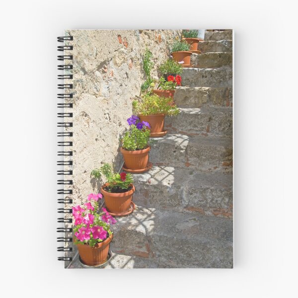Item preview, Flower pots on stone steps designed and sold by Gary Lengyel.