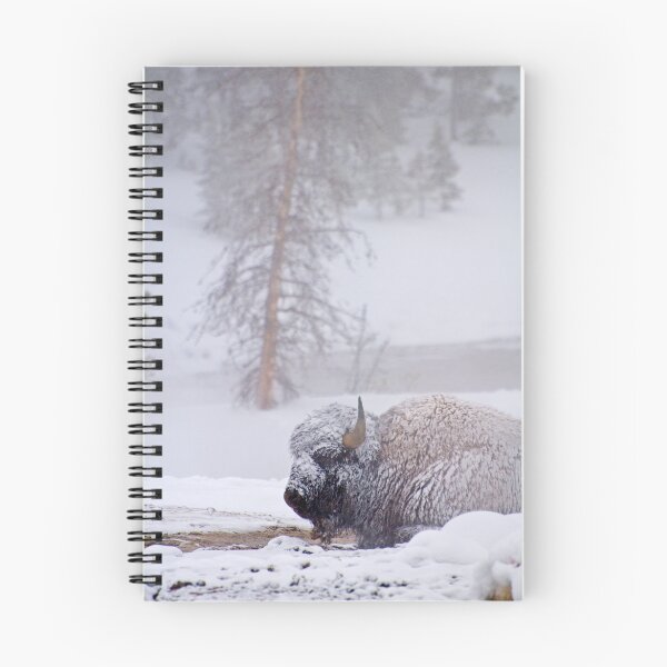 Item preview, Bison Keeping Warm, Yellowstone National Park designed and sold by Gary Lengyel.