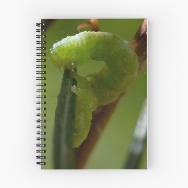 Item preview, Green guy designed and sold by Steve  Woodman.
