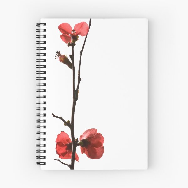 Item preview, Japonica designed and sold by prbimages.