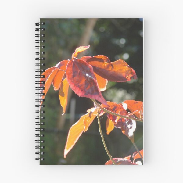 Item preview, Red Leaves designed and sold by Martice.