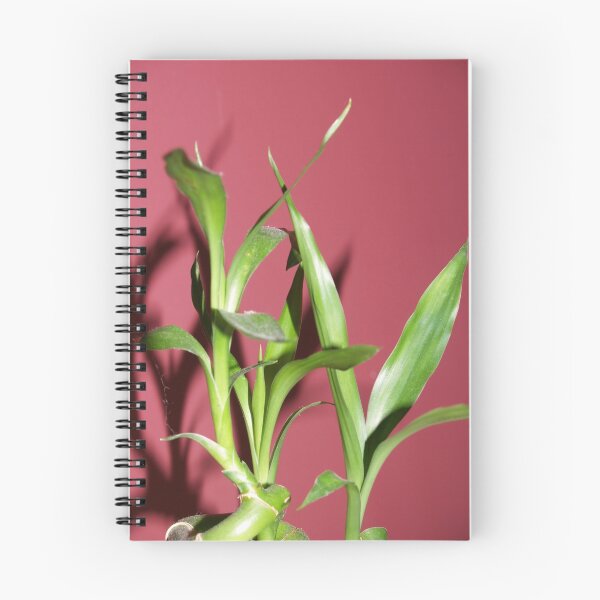 Artikelvorschau, House Plant entworfen und verkauft von Denise Schuster.