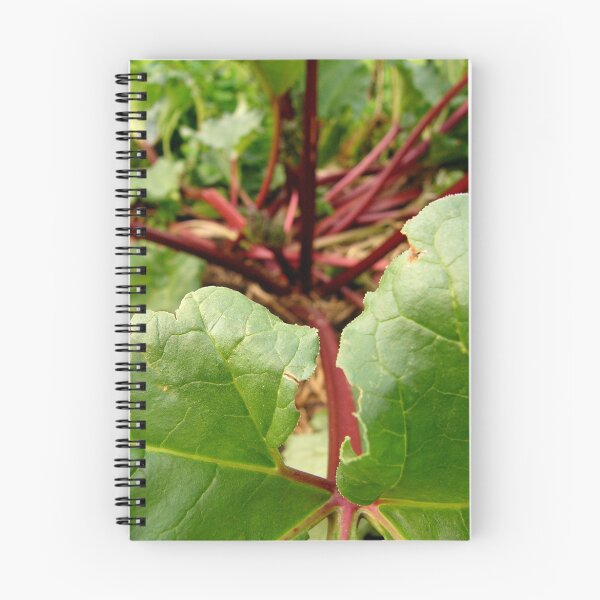 Item preview, Rhubarb designed and sold by Northcote Community  Gardens.