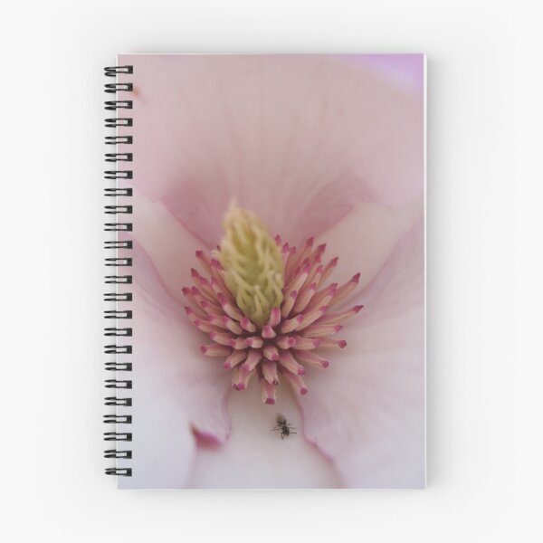 Item preview, Interior designed and sold by Catherine Tranter.