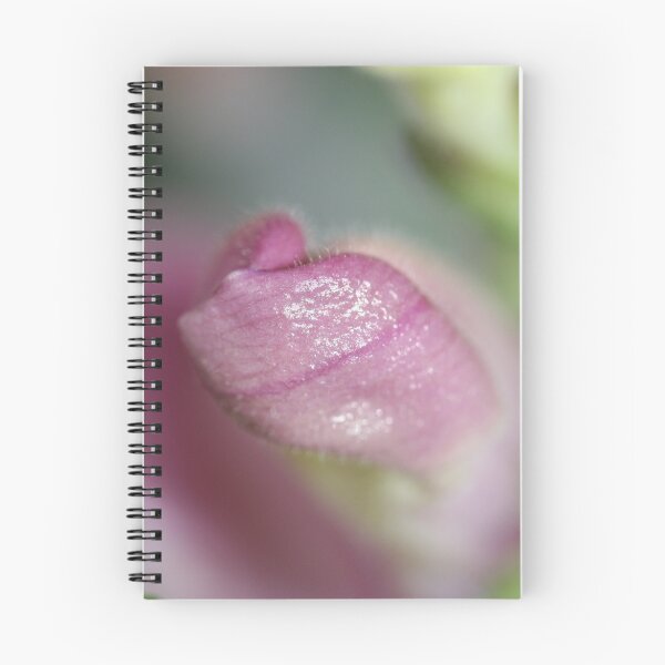 Item preview, Interior designed and sold by Catherine Tranter.