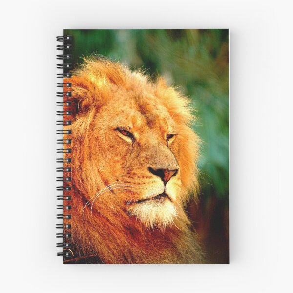 Item preview, The Lion King designed and sold by HowieP.