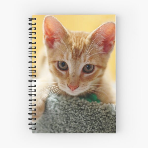 Item preview, Tigger designed and sold by Kathleen Struckle.