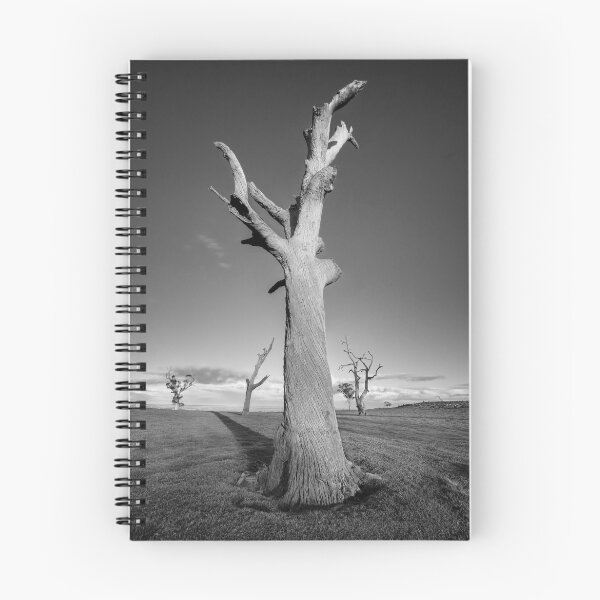 Artikelvorschau, The Dead Trees of Strathalbyn #3 entworfen und verkauft von AllshotsImaging.