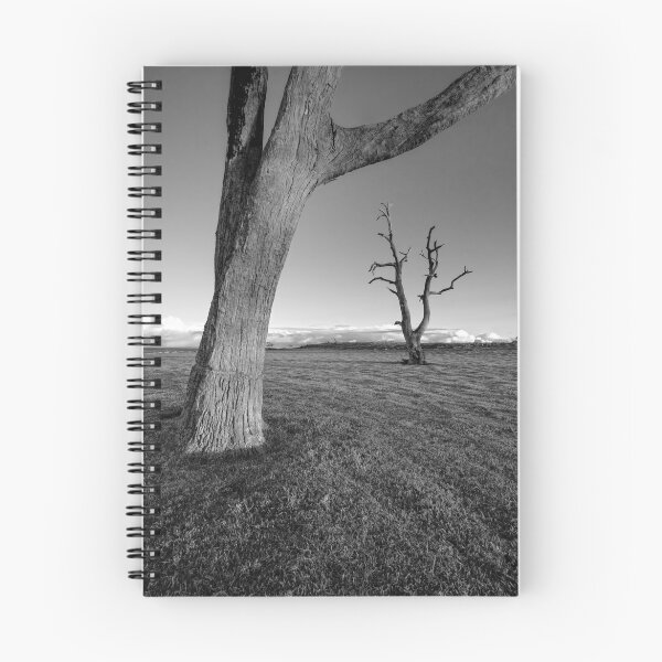 Item preview, The Dead Trees of Strathalbyn #4 designed and sold by AllshotsImaging.