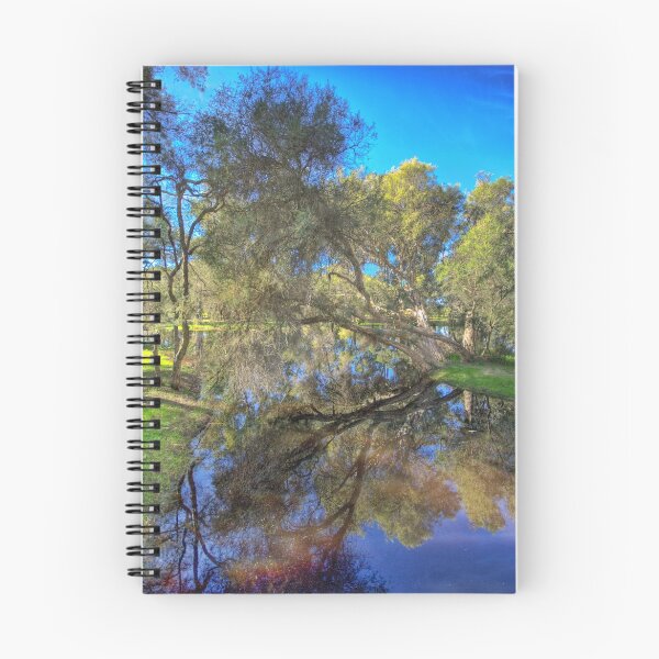 Item preview, Winter Reflections designed and sold by Claire  Farley.