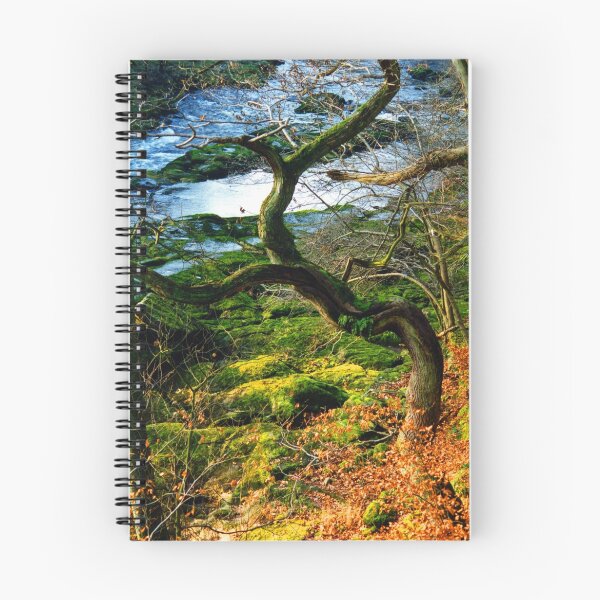 Item preview, Wharfedale designed and sold by Ken Simm.