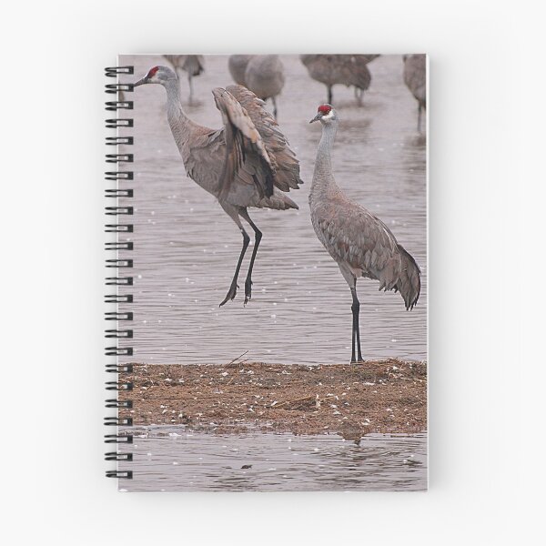 Item preview, Courtship of the Sandhill Cranes designed and sold by Dawne Olson.