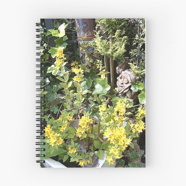 Item preview, Lysimachia in the water trough designed and sold by hilarydougill.