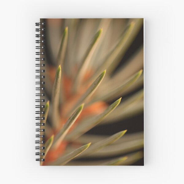 Item preview, Needles designed and sold by Steve  Taylor.