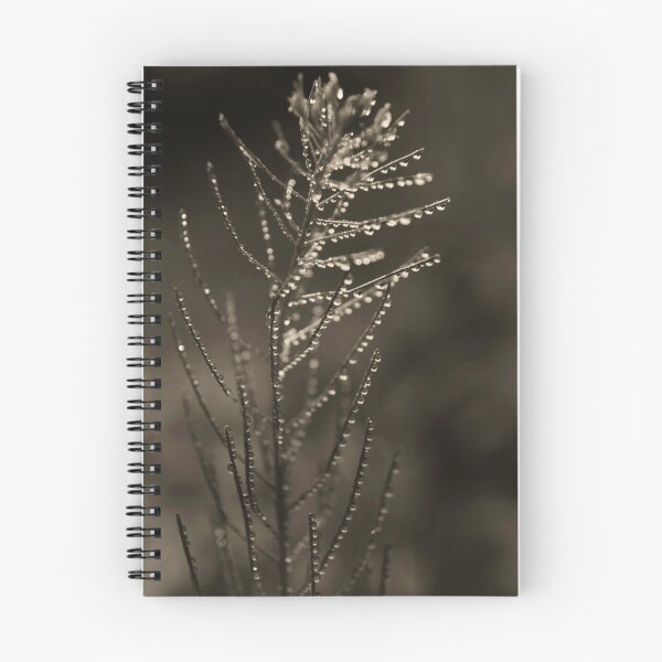 Item preview, Dreamcatcher: Prose designed and sold by TheEyesHaveIt.