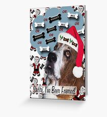 A Basset Christmas Greeting Card