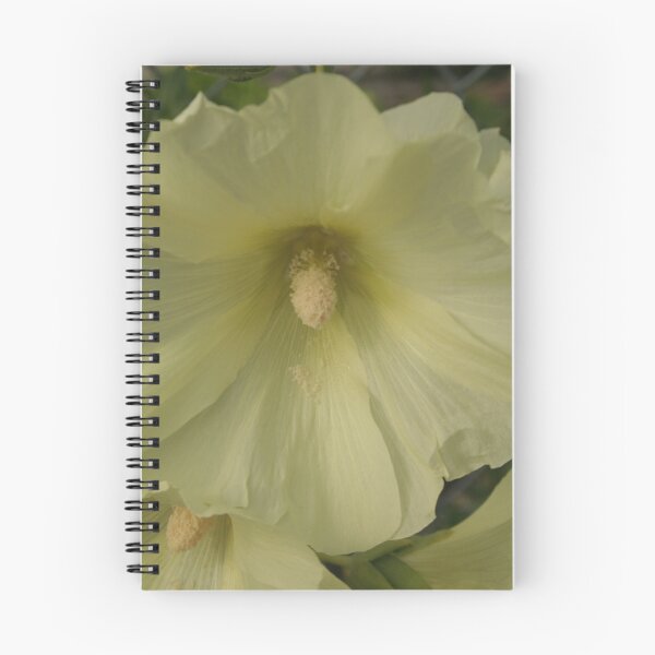 Item preview, Pale Hollyhock designed and sold by stephenralph.
