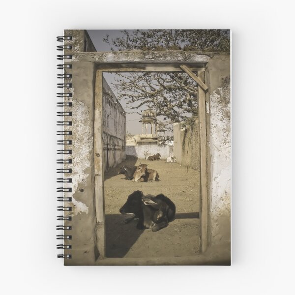 Item preview, Pushkar Cows designed and sold by Murray Newham.