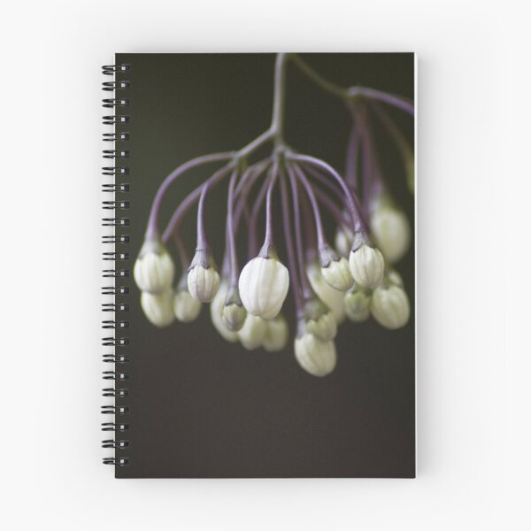Item preview, Beginnings designed and sold by Steve plowman.