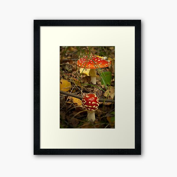 When I grow up I want to be like you Framed Art Print