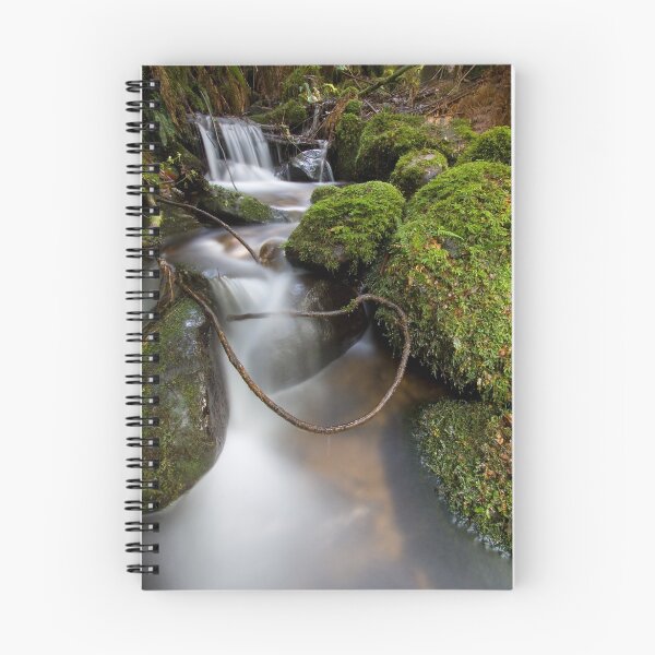 Item preview, Lasso at Cement Creek designed and sold by Jared Revell.