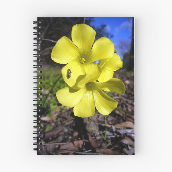Item preview, Tread Lightly designed and sold by Digby.