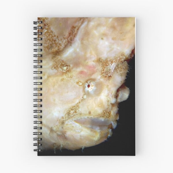 Item preview, Giant Frogfish designed and sold by MattTworkowski.