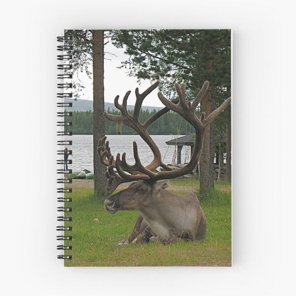 Item preview, Reno designed and sold by Katariina Lonnakko.