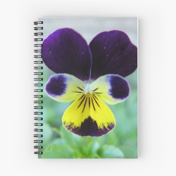 Item preview, Johnny-Jump-Up (I) designed and sold by CapturedByKylie.