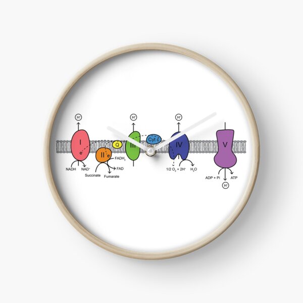 Item preview, Electron Transport Chain designed and sold by ktmthrs.