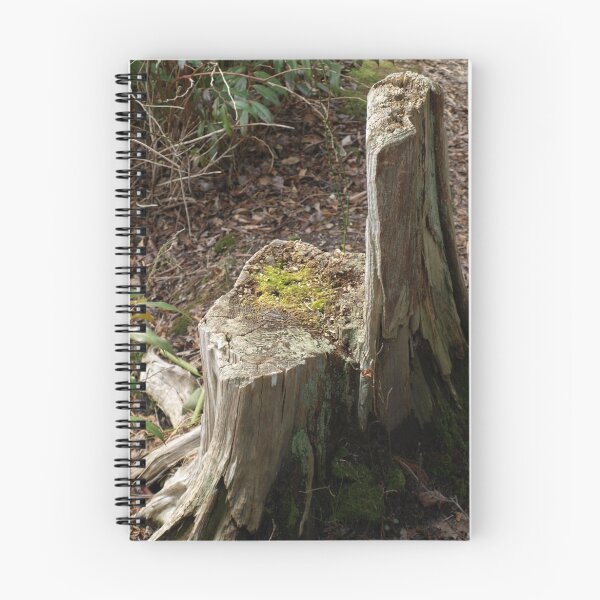 Item preview, CHAIR IN THE FOREST designed and sold by Sharon A Henson.