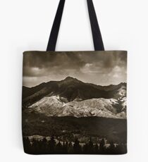 On a high Tote Bag