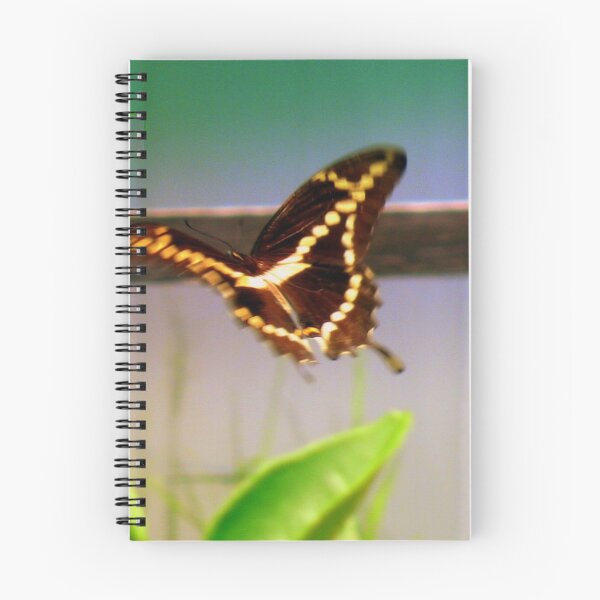 Item preview, Liftoff designed and sold by B. Randi Bailey.