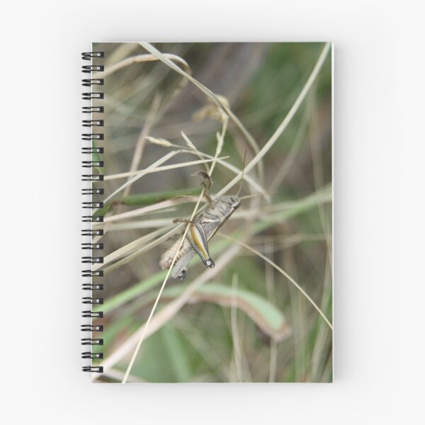 Item preview, Grasshopper designed and sold by Jonathan Bartlett.