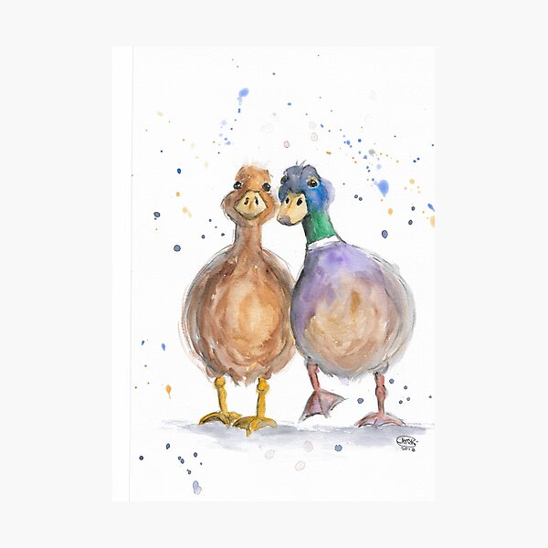 Item preview, Couple of Duck Lovebirds designed and sold by Marjansart.