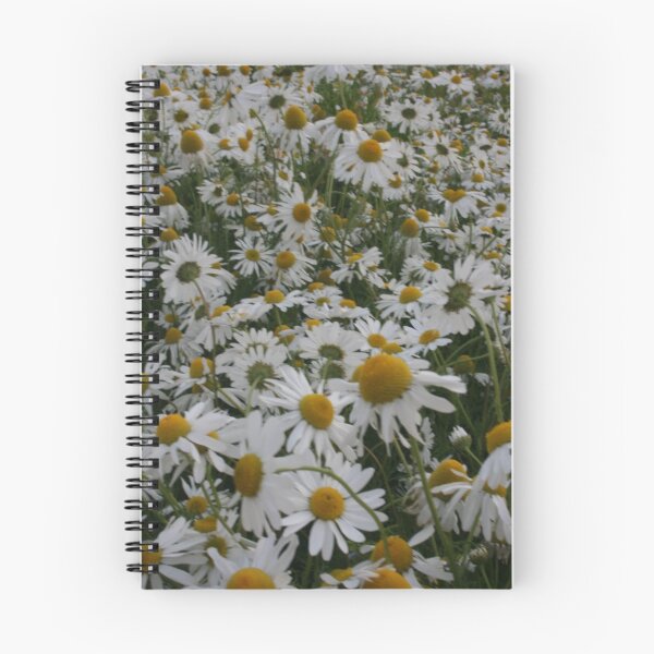 Item preview, Dasiy, Daisy (2) designed and sold by Edward Gunn.