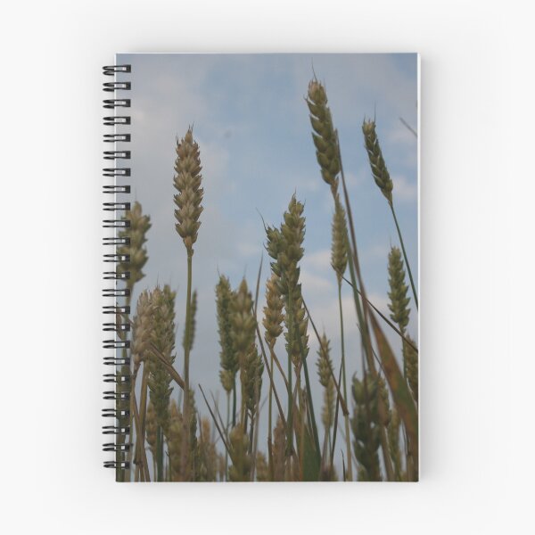 Item preview, Harvest designed and sold by Edward Gunn.