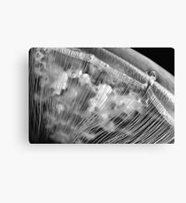 Moon Beads (Moon Jellyfish) Canvas Print