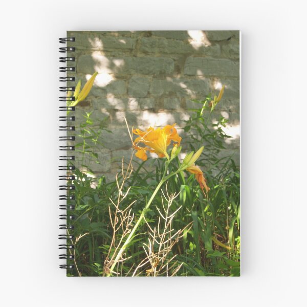 Item preview, The Life and Death of a Day Lilly designed and sold by Mark  Carey.