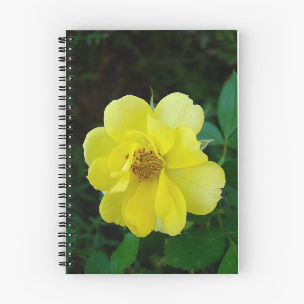 Item preview, mellow yellow designed and sold by Jan Stead JEMproductions.