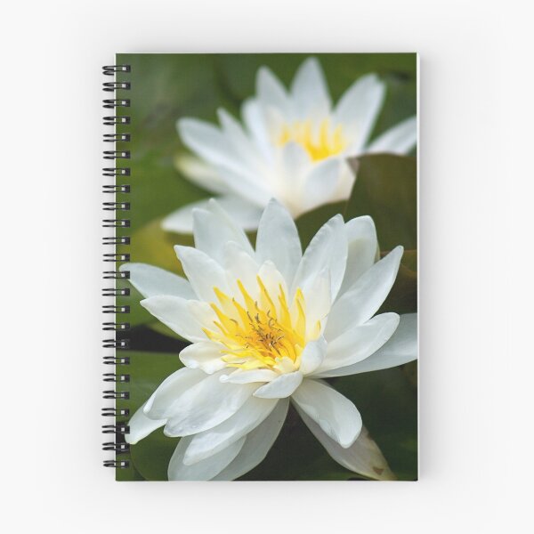Item preview, Water Lillies designed and sold by Sue Cullumber.