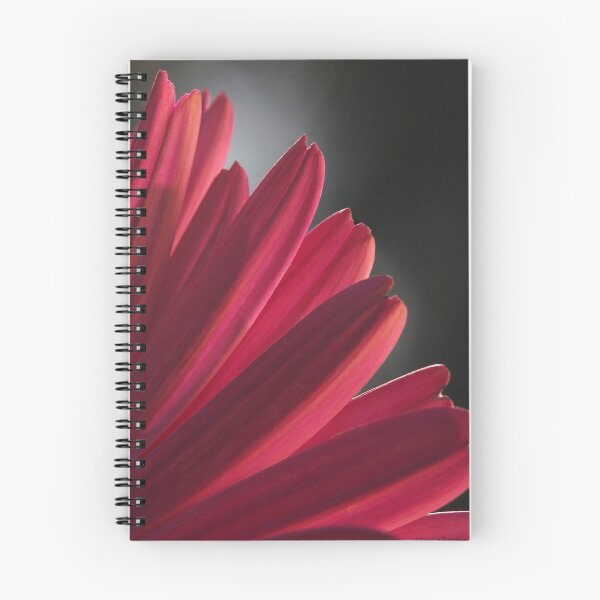 Aperçu de l'œuvre Pink Petals créée et vendue par Sue Cullumber.