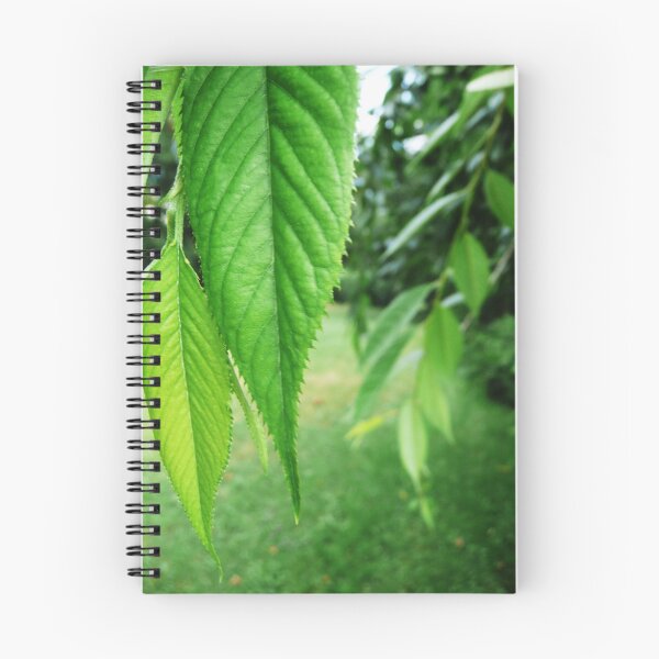 Aperçu de l'œuvre Green Drapery créée et vendue par Victoria DeMore.