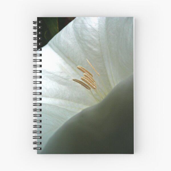 Item preview, Moonflower Close-Up designed and sold by Victoria DeMore.